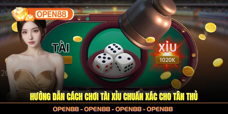 Hướng dẫn cách chơi tài xỉu chuẩn xác cho tân thủ